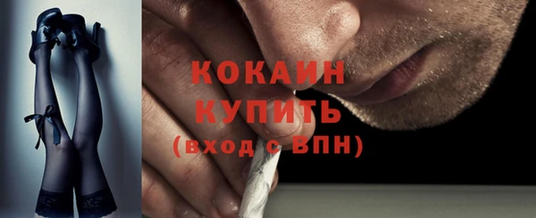 тгк Алексин
