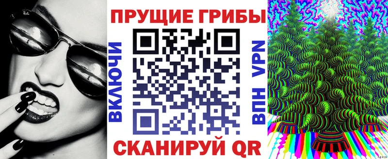 Купить закладки  Владимир  Псилоцибиновые грибы Magic Shrooms 